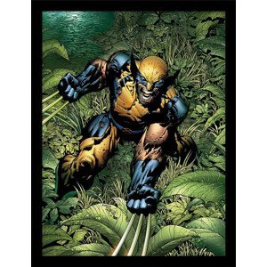Obraz na zeď - Marvel Classic - Savage, 34.3 x 44.5 cm