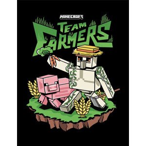Obraz na zeď - Minecraft - Team Farmers, 34.3 x 44.5 cm