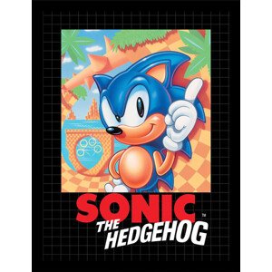 Obraz na zeď - Sonic the Hedgehog - Cover, 34.3 x 44.5 cm