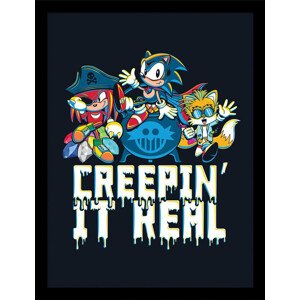 Obraz na zeď - Sonic the Hedgehog - Creepin' It Rolld, 34.3 x 44.5 cm