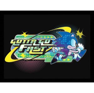 Obraz na zeď - Sonic the Hedgehog - Khaos Gotta Go Fast, 44.5 x 34.3 cm