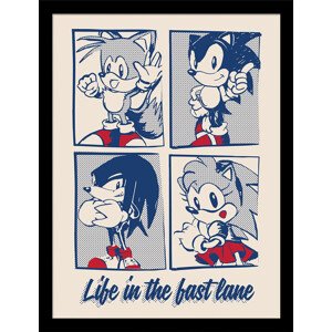 Obraz na zeď - Sonic the Hedgehog - Life in the Best Lane, 34.3 x 44.5 cm