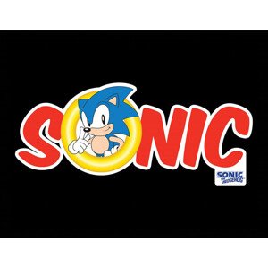 Obraz na zeď - Sonic the Hedgehog - Logo, 44.5 x 34.3 cm