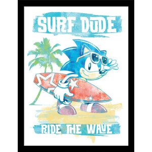 Obraz na zeď - Sonic the Hedgehog - Ride the Wave, 34.3 x 44.5 cm