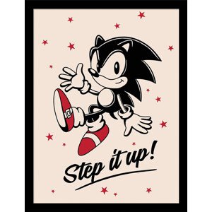 Obraz na zeď - Sonic the Hedgehog - Step It Up, 34.3 x 44.5 cm
