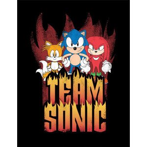 Obraz na zeď - Sonic the Hedgehog - Team Sonic, 34.3 x 44.5 cm
