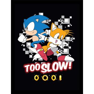 Obraz na zeď - Sonic the Hedgehog - Too slow, 34.3 x 44.5 cm