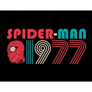 Obraz na zeď - Spider-Man - 1977, 44.5 x 34.3 cm