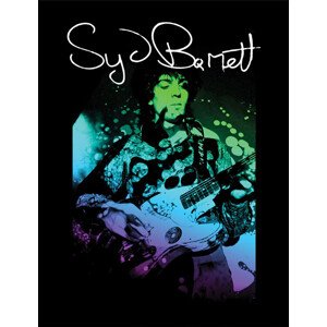 Obraz na zeď - Syd Barett - Guitar, 34.3 x 44.5 cm