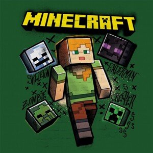Obraz na plátně Minecraft - Alex, 2 - 30×30 cm