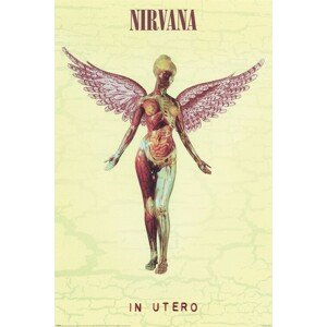 Plakát, Obraz - Nirvana - In Utero, 61 × 91.5 cm