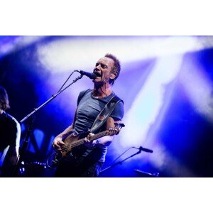 Fotografie Sting performs live at Moon&Stars 2017, NurPhoto, 40 × 26.7 cm