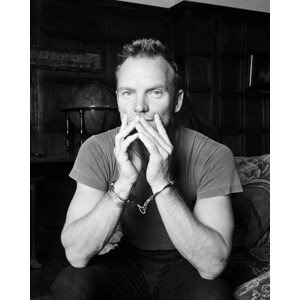 Fotografie Sting, John Stoddart/Popperfoto, 30 × 40 cm