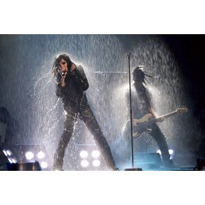 Fotografie MTV European Music Awards 2007 - Arrivals - Munich, Yui Mok - PA Images, 40 × 26.7 cm