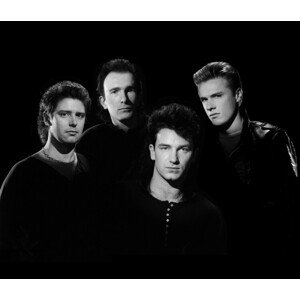 Fotografie U2 Portrait Session 1984, Aaron Rapoport, 40 × 34.4 cm