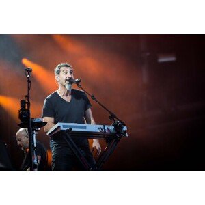 Fotografie Pinkpop Festival 2017 System of A Down, NurPhoto, 40 × 26.7 cm