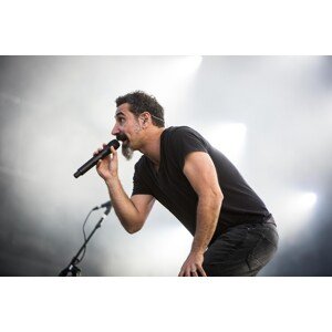 Fotografie Pinkpop Festival 2017 System of A Down, NurPhoto, 40 × 26.7 cm