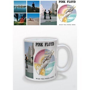 Hrnek Pink Floyd - Wish You Were Here, 0,33 l