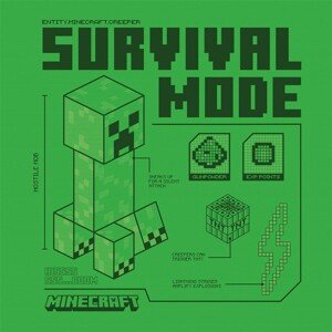 Obraz na plátně Minecraft - Creeper, 2 - 30×30 cm