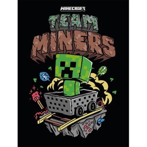 Obraz na plátně Minecraft - Team Miners, 2 - 30×40 cm