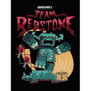 Obraz na plátně Minecraft - Team Redstone, 2 - 30×40 cm