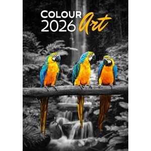 Kalendář 2026 Colour Art, 31,5 x 45 cm