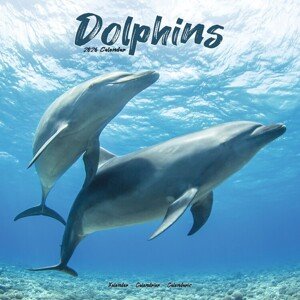 Kalendář 2026 Dolphins, 30,5 x 30,5 (30,5 x 61) cm