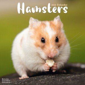 Kalendář 2026 Hamsters, 30,5 x 30,5 (30,5 x 61) cm