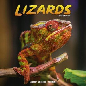 Kalendář 2026 Lizards, 30,5 x 30,5 (30,5 x 61) cm