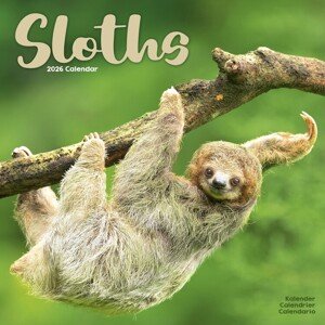 Kalendář 2026 Sloths, 30,5 x 30,5 (30,5 x 61) cm