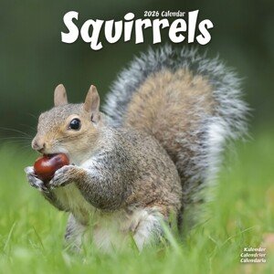 Kalendář 2026 Squirrels, 30,5 x 30,5 (30,5 x 61) cm