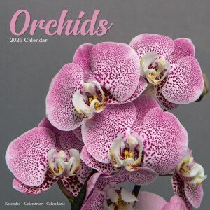 Kalendář 2026 Orchids, 30,5 x 30,5 (30,5 x 61) cm