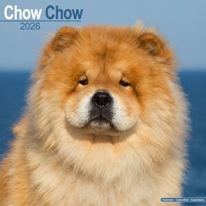 Kalendář 2026 Chow Chow, 30,5 x 30,5 (30,5 x 61) cm