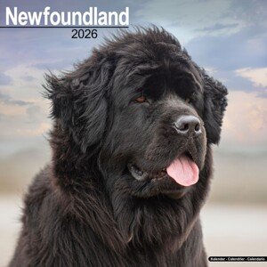 Kalendář 2026 Newfoundland, 30,5 x 30,5 (30,5 x 61) cm