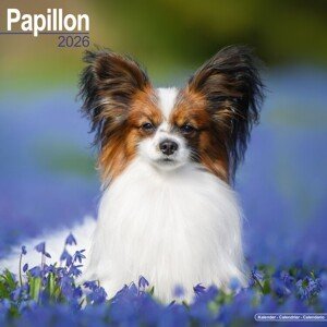 Kalendář 2026 Papillon, 30,5 x 30,5 (30,5 x 61) cm