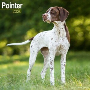 Kalendář 2026 Pointer, 30,5 x 30,5 (30,5 x 61) cm