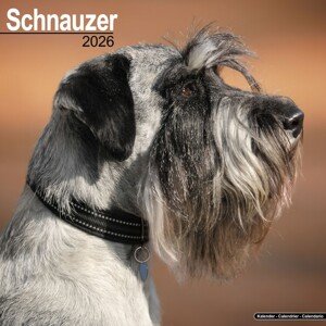 Kalendář 2026 Schnauzer, 30,5 x 30,5 (30,5 x 61) cm