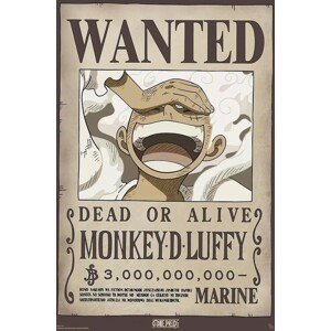 Plakát, Obraz - One Piece - Wanted Luffy Wano, 61 × 91.5 cm