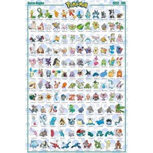 Plakát, Obraz - Pokemon - Hoenn Pokemon English, 61 × 91.5 cm