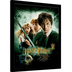 Obraz na zeď - Harry Potter - Chamber Of Secrets, 30 × 40 cm