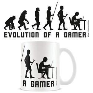Hrnek Evolution of Gamer, 0,3 l