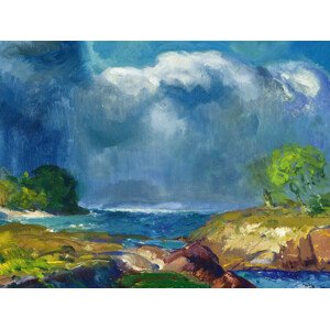Obrazová reprodukce The Coming Storm, George Wesley Bellows, 40 × 30 cm