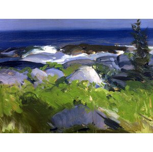 Obrazová reprodukce Vine Clad Shore, George Wesley Bellows, 40 × 30 cm