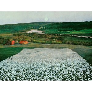 Obrazová reprodukce Flower Meadow, Harald Sohlberg, 40 × 30 cm