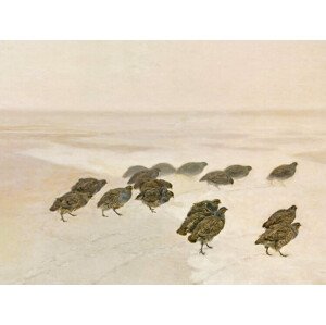 Obrazová reprodukce Partridges in the Snow - Józef Chelmoński, 40 × 30 cm